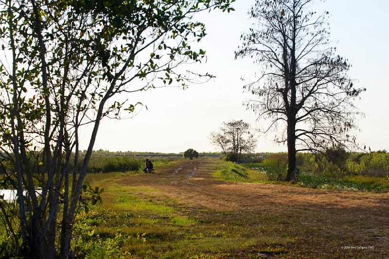 20090220_171536 D3 (1) P1 5100x3400 srgb.jpg - Loxahatchee National Wildlife Preserve